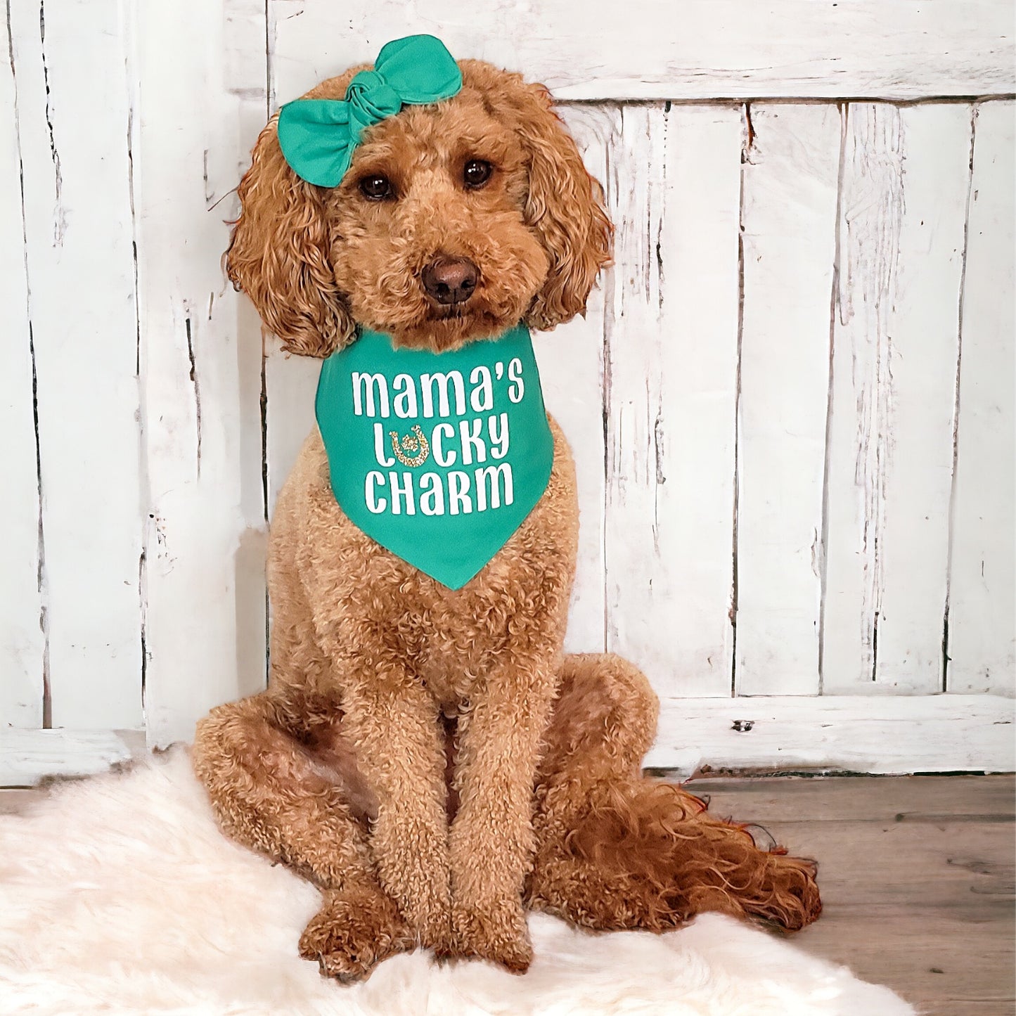 St. Patrick Mama's Lucky Charm Dog Bandana