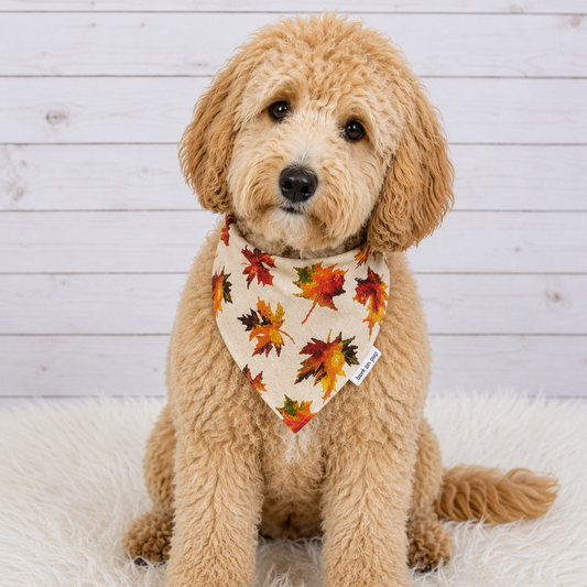 Autumn Dog Bandana
