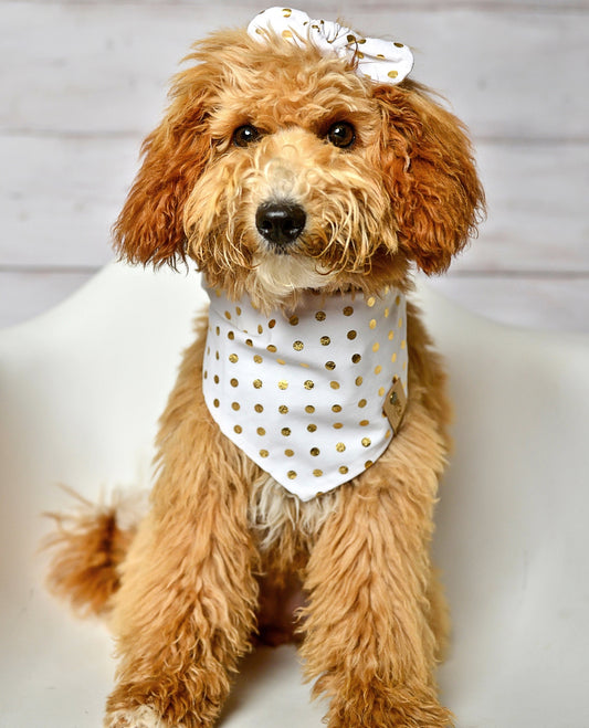 White Gold Dot Dog Bandana