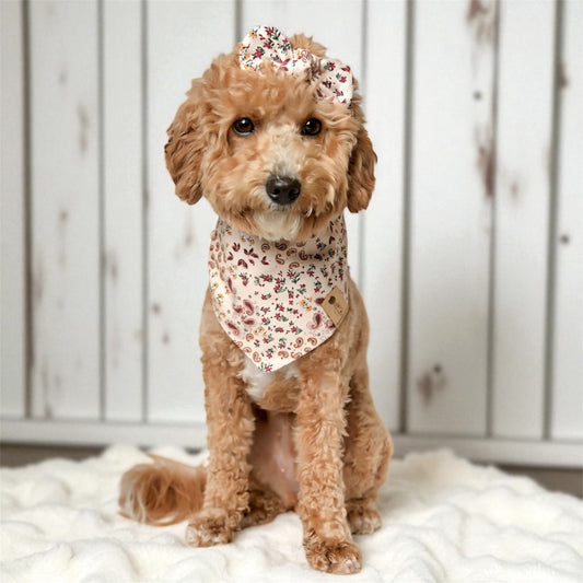 Paisley & Floral Dog Bandana