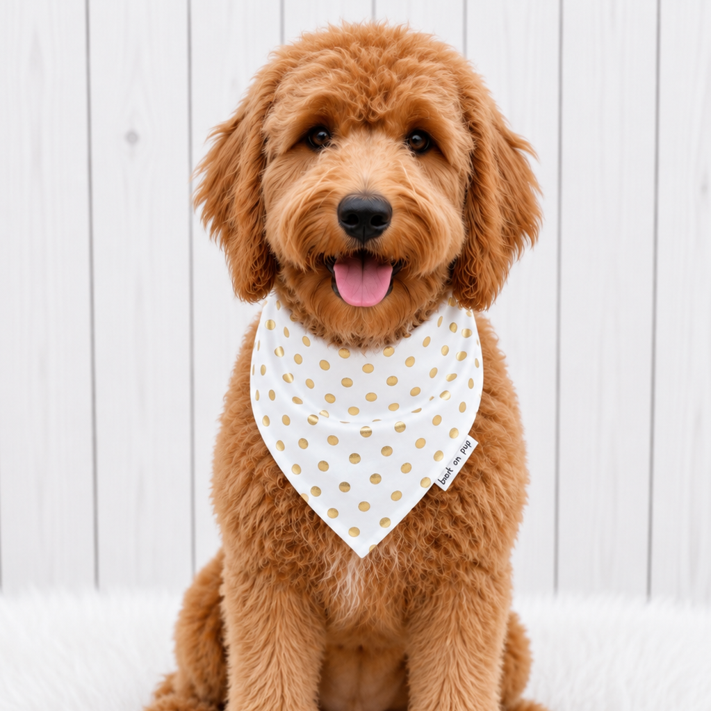 White Gold Dot Dog Bandana