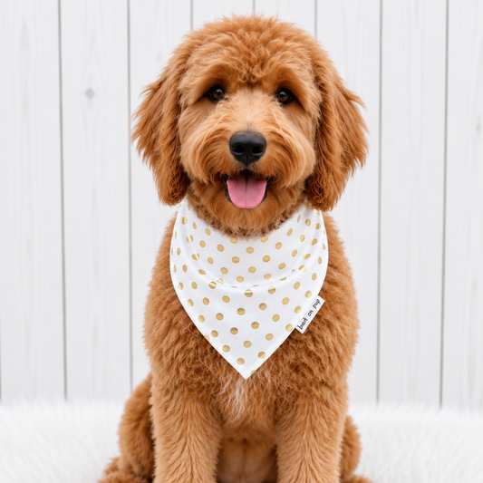 White Gold Dot Dog Bandana