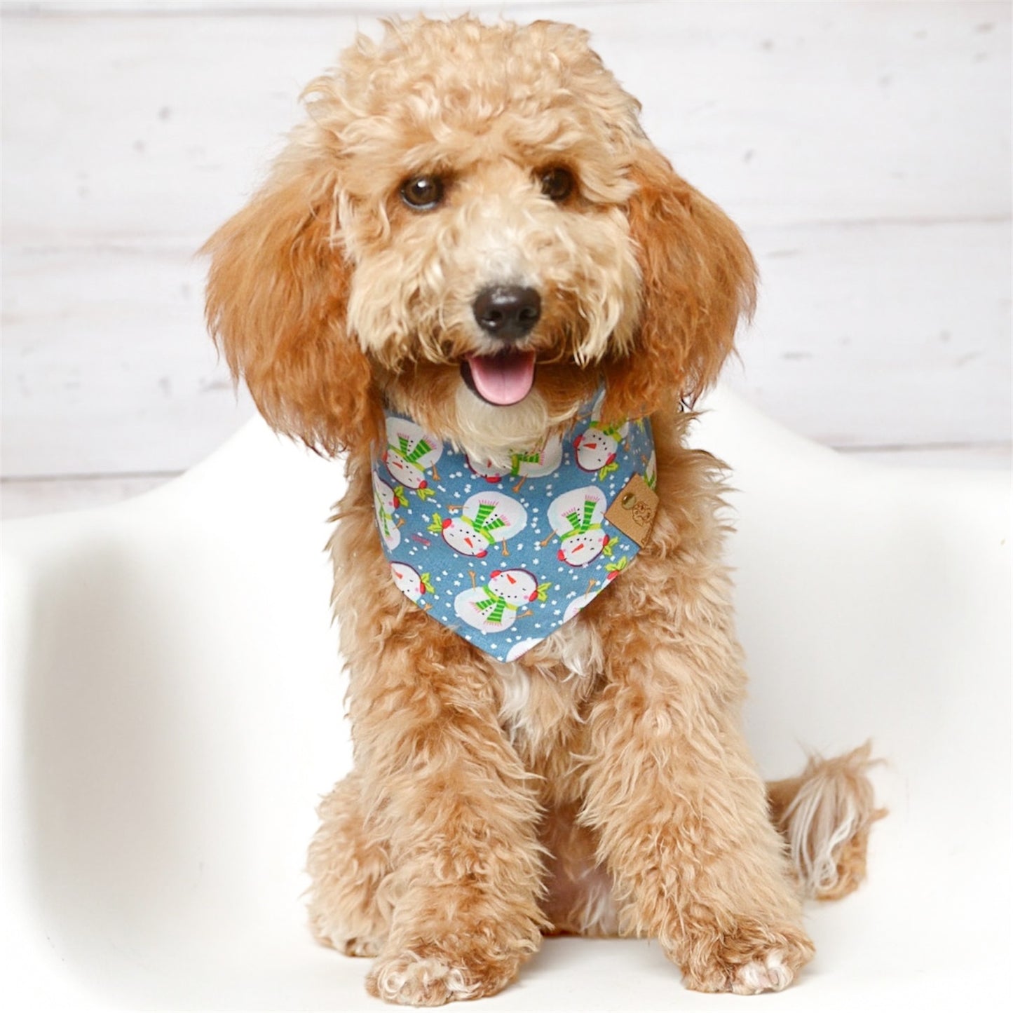 Snowman Dog Bandana
