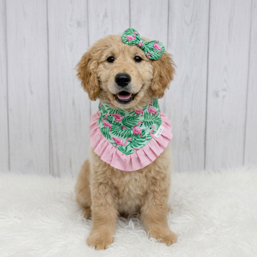 Flamingo Ruffle Dog Bandana