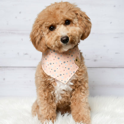 Peachy Paws Dog Bandana
