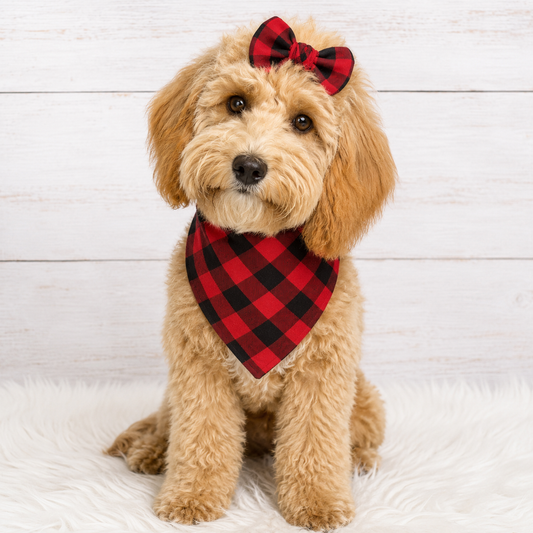 Red Buffalo Dog Bandana