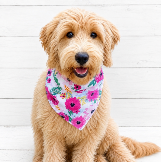 Floral Cotton Dog Bandana - Bali Bandana
