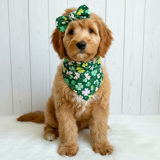 St. Patrick Clovers Dog Bandana