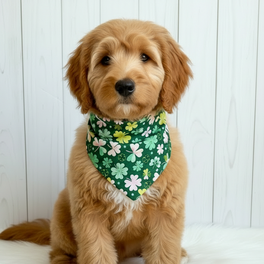 St. Patrick Clovers Dog Bandana