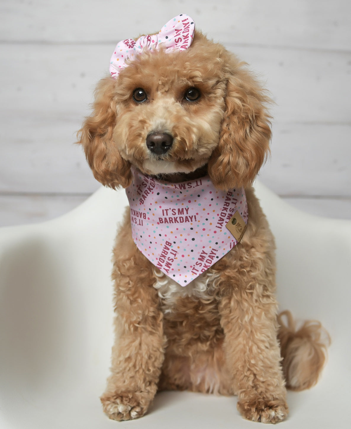 It's My Bark Day Pink Dog Bandana