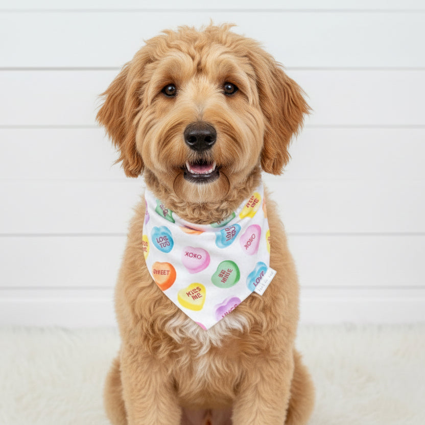 Candy Hearts Valentine’s Dog Bandana