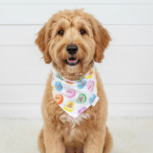 Candy Hearts Valentine’s Dog Bandana