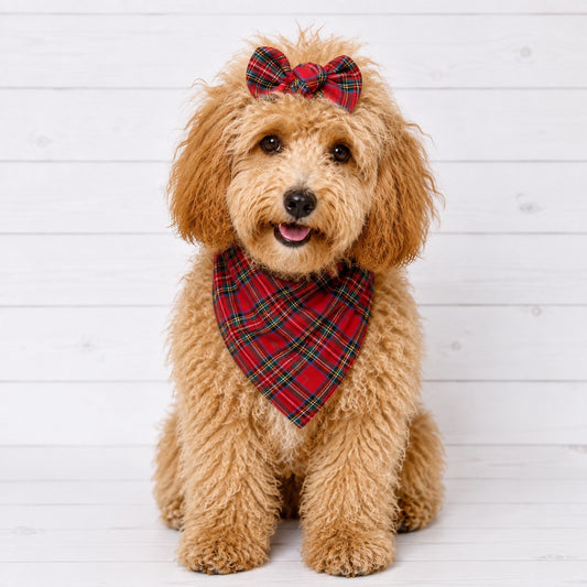 Red Plaid Dog Bandana