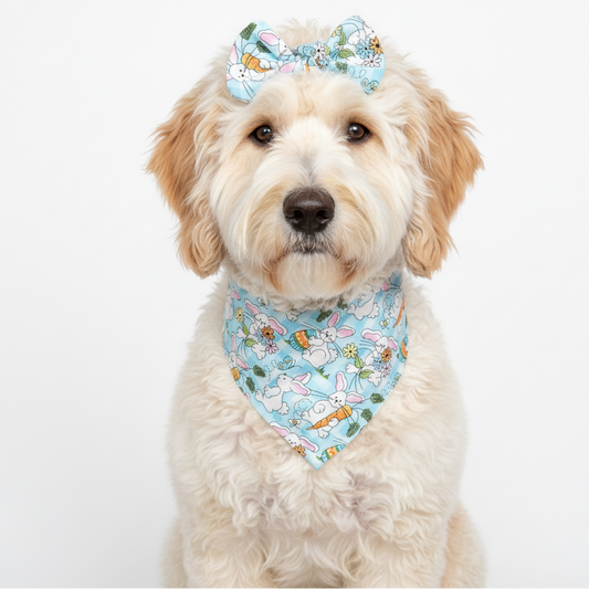Easter Bunny Dog Bandana