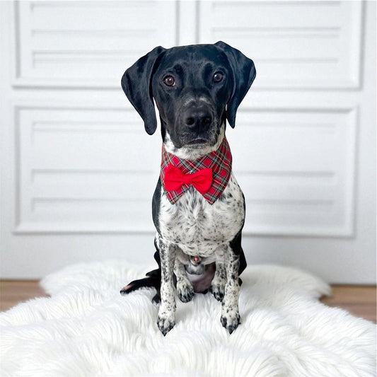 Red Plaid Dog Tuxedo Bow Tie Collar for Boys