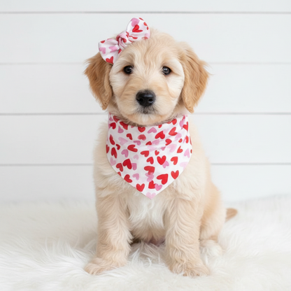 Hearts Valentine’s Day Dog Bandana