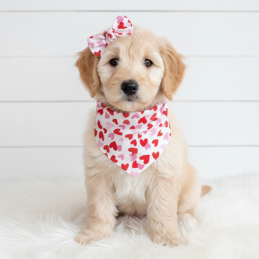 Hearts Valentine’s Day Dog Bandana