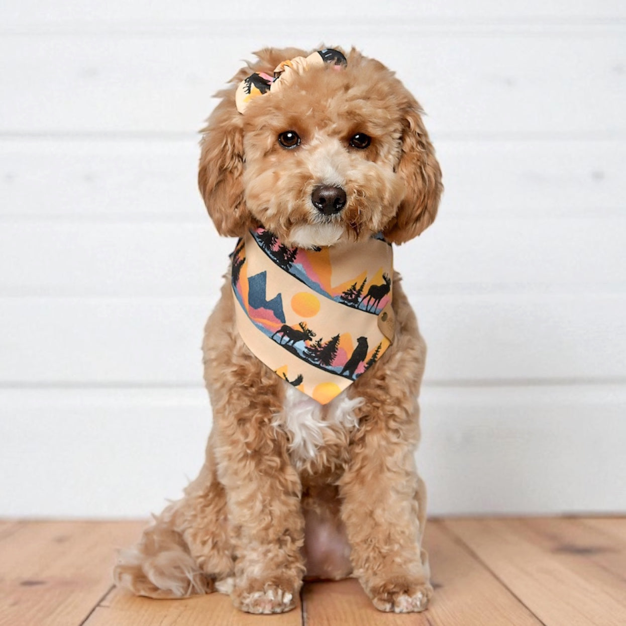Southwestern Dog Bandana