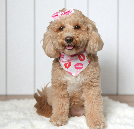 Kisses Valentine Hearts Dog Bandana