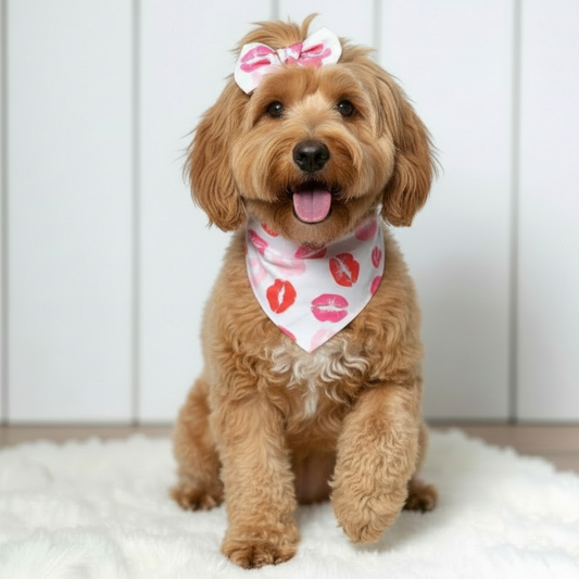 Kisses Valentine Hearts Dog Bandana