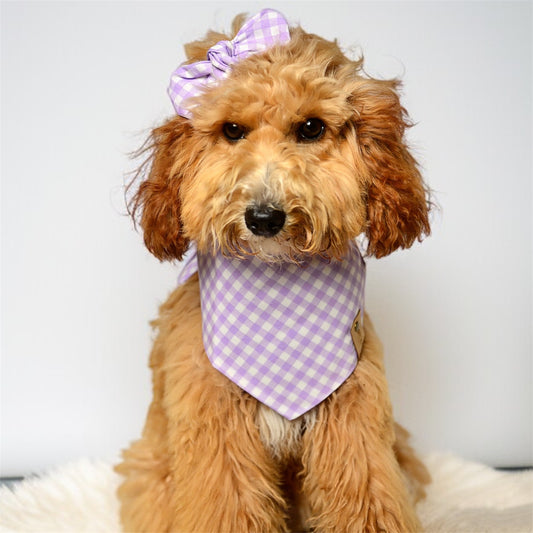 Lavender Gingham Check Dog Bandana