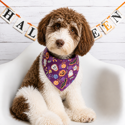 Halloween Cookie Treat Dog Bandana
