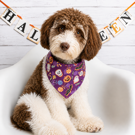 Halloween Cookie Treat Dog Bandana