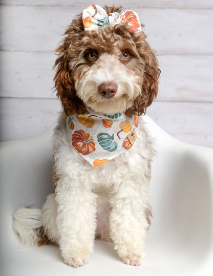 Pumpkin Harvest Dog Bandana