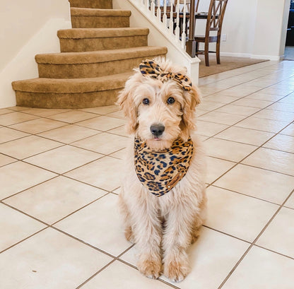 Leopard Dog Bandana