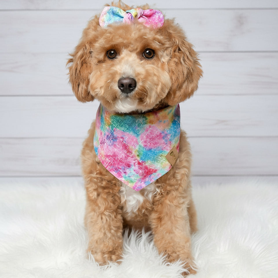 Color Burst Dog Bandana
