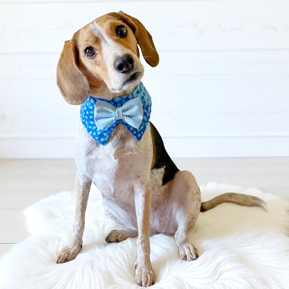 Blue Dog Tuxedo Collar for Boys