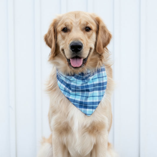 Blue Plaid Dog Bandana