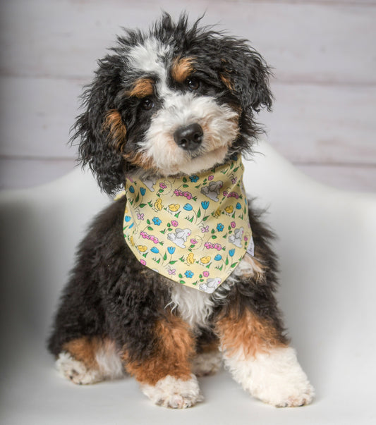 Easter Bunny Dog Bandana