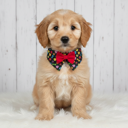 Playful Hearts Dog Tuxedo Bow Tie