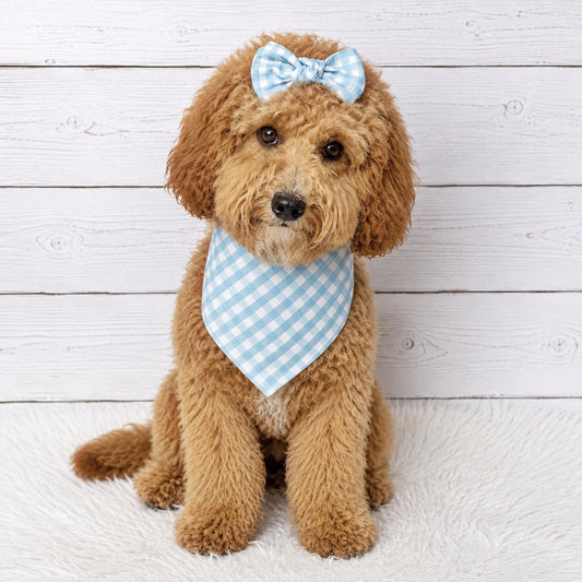 Blue Gingham Check Dog Bandana
