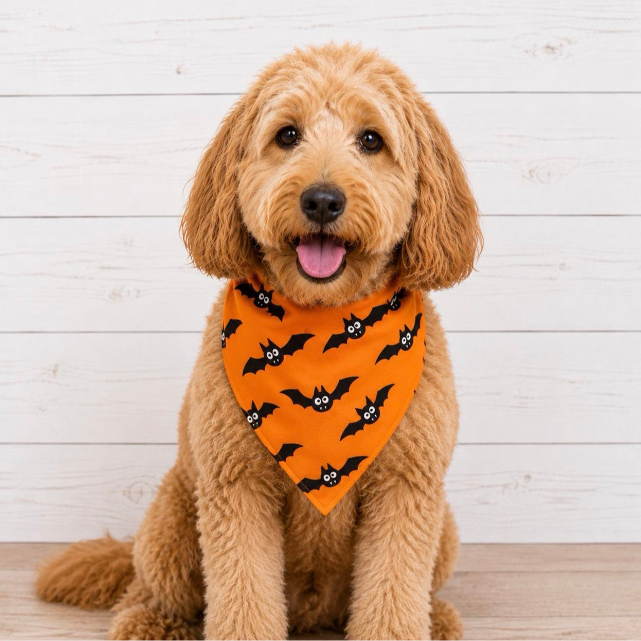 Bats Orange Halloween Dog Bandana