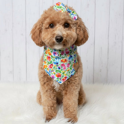 Spring Bloom Dog Bandana