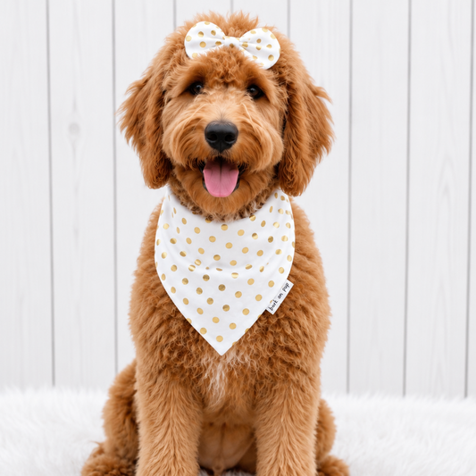 White Gold Dot Dog Bandana