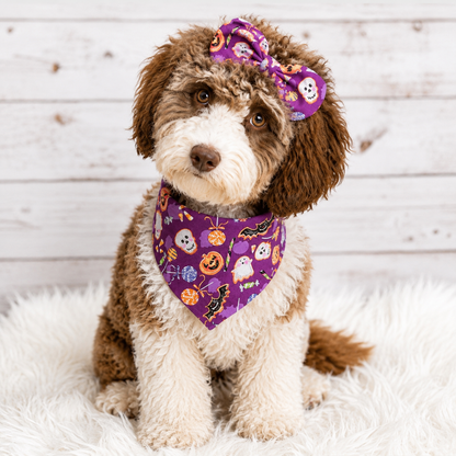 Halloween Cookie Treat Dog Bandana