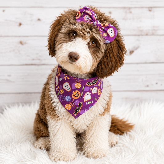 Halloween Cookie Treat Dog Bandana