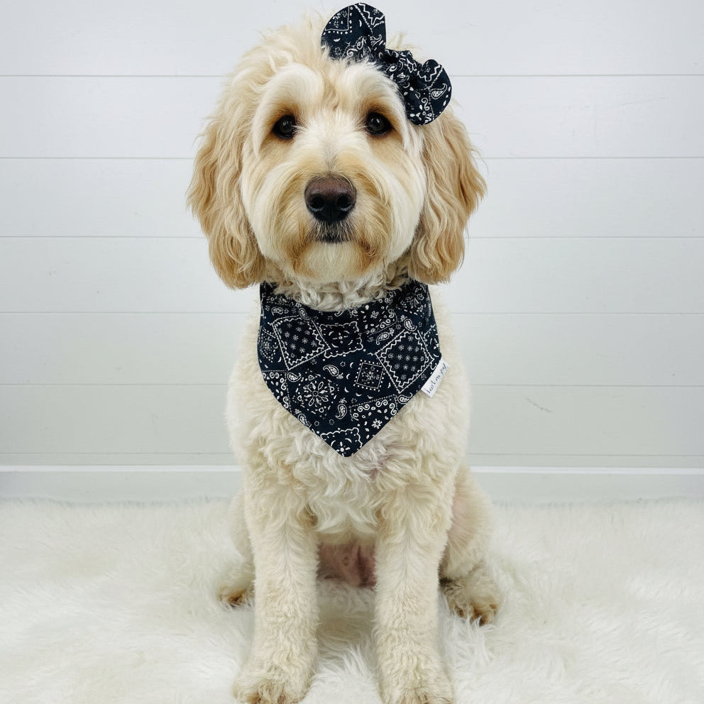 Classic Paisley Dog Bandana – Black