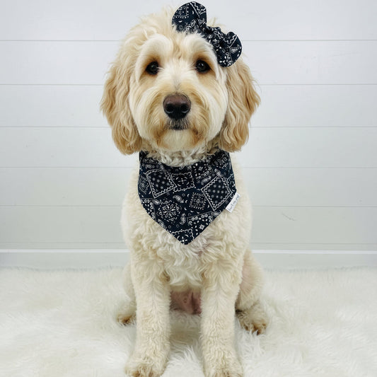 Classic Paisley Dog Bandana – Black