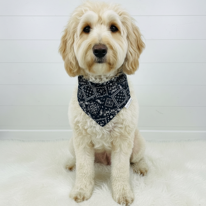 Classic Paisley Dog Bandana – Black