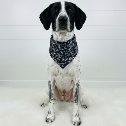 Classic Paisley Dog Bandana – Black