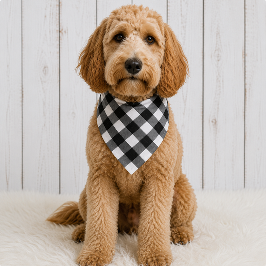 Black Buffalo Dog Bandana