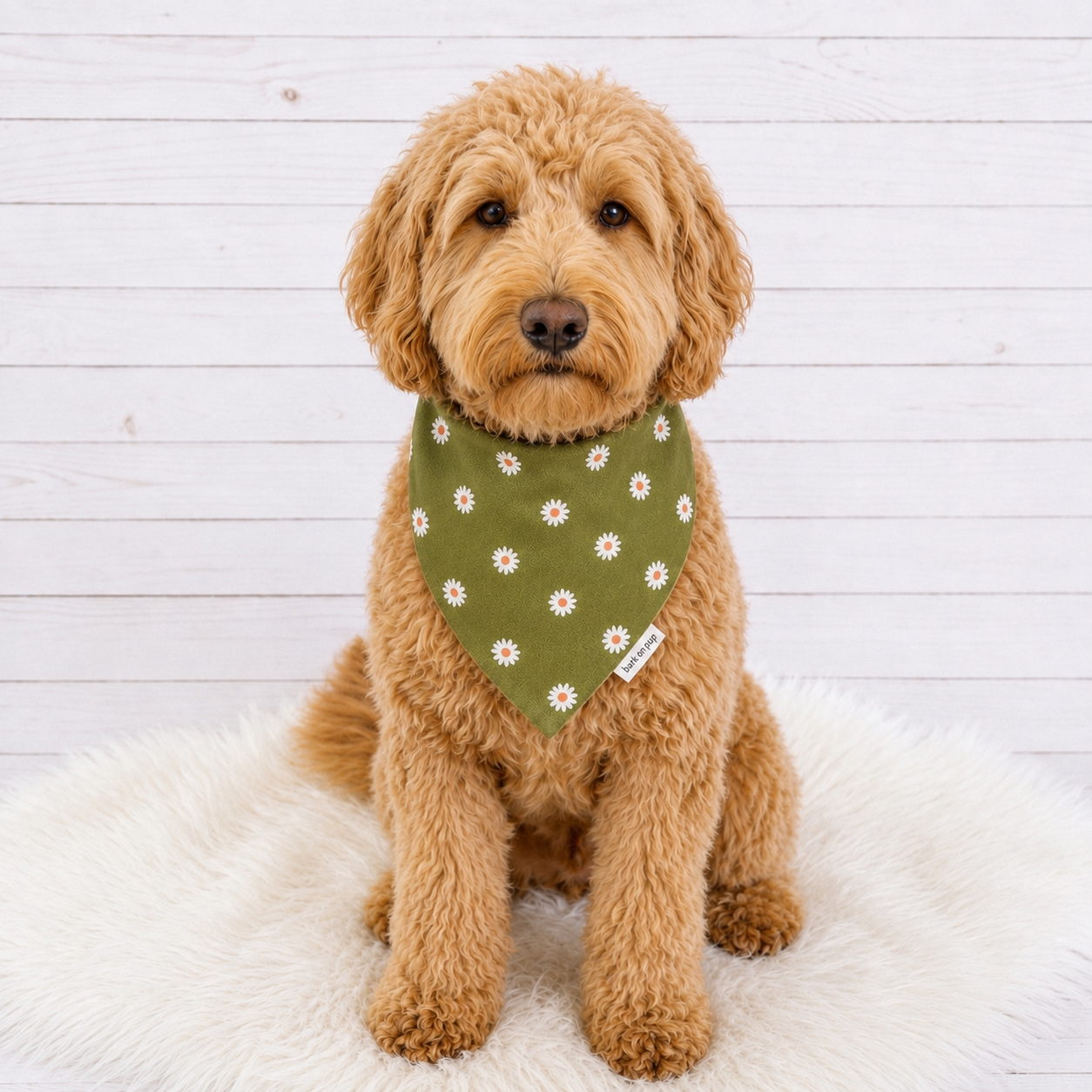 Olive Green Floral Dog Bandana