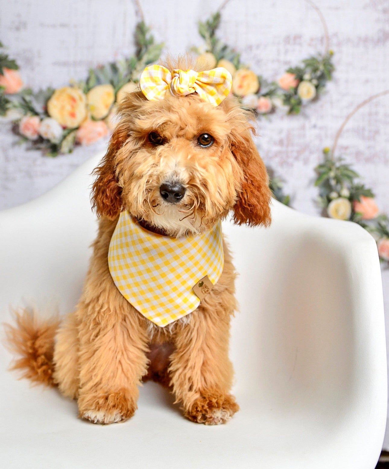 Yellow Gingham Dog Bandana