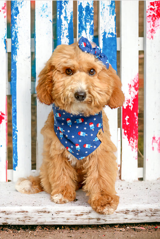 American Flag Popsicle Dog Bandana - Patriotic