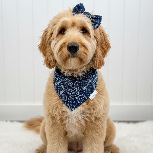 Classic Paisley Dog Bandana – Navy Blue