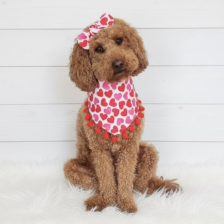 Valentine Hearts Pom Pom Dog Bandana